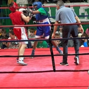 Krav-Maga-Illinois-boxing-4